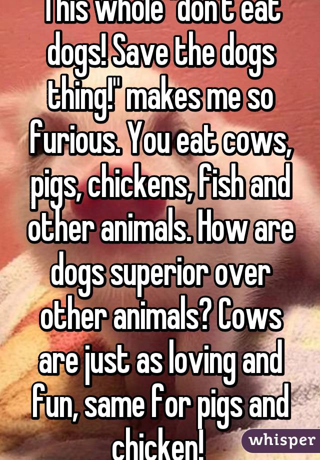 This whole "don't eat dogs! Save the dogs thing!" makes me so furious. You eat cows, pigs, chickens, fish and other animals. How are dogs superior over other animals? Cows are just as loving and fun, same for pigs and chicken! 