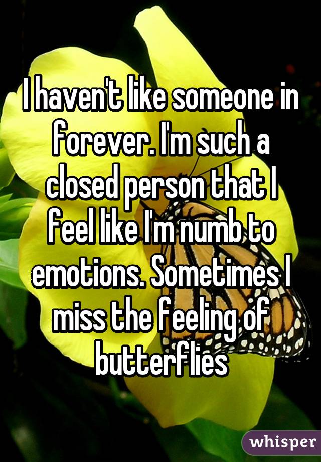 I haven't like someone in forever. I'm such a closed person that I feel like I'm numb to emotions. Sometimes I miss the feeling of butterflies