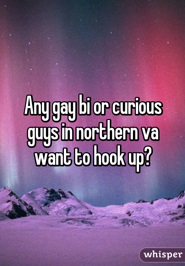 Any gay bi or curious guys in northern va want to hook up?