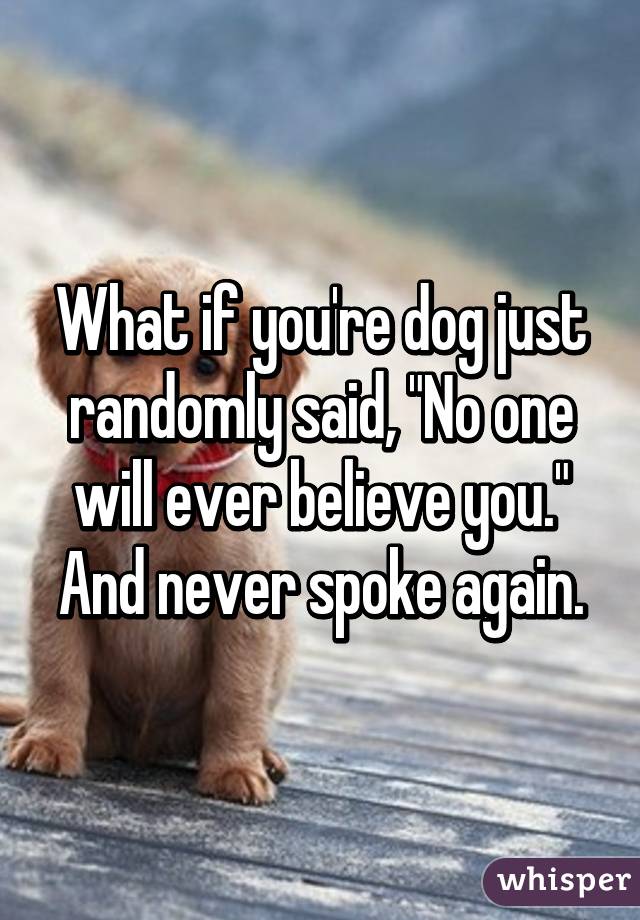 What if you're dog just randomly said, "No one will ever believe you." And never spoke again.