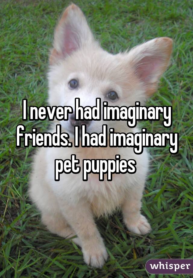 I never had imaginary friends. I had imaginary pet puppies 