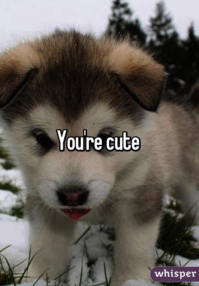 You're cute 