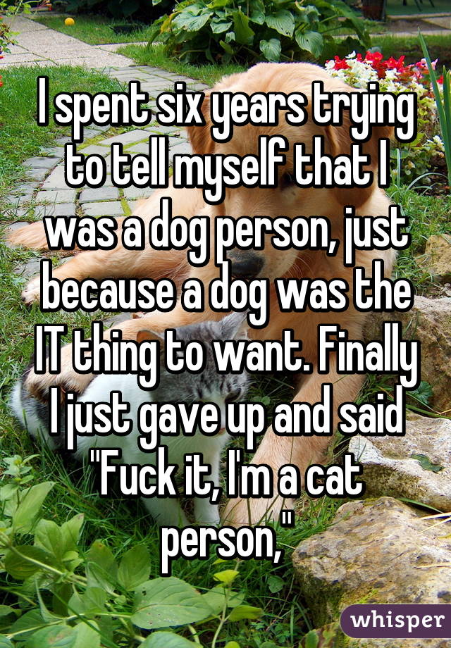 I spent six years trying to tell myself that I was a dog person, just because a dog was the IT thing to want. Finally I just gave up and said "Fuck it, I'm a cat person,"