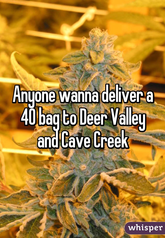 Anyone wanna deliver a 40 bag to Deer Valley and Cave Creek