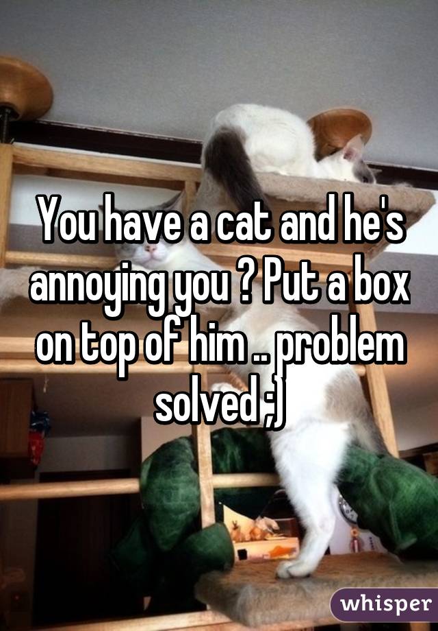 You have a cat and he's annoying you ? Put a box on top of him .. problem solved ;)