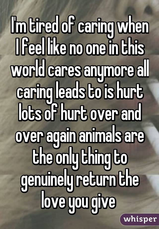 I'm tired of caring when I feel like no one in this world cares anymore all caring leads to is hurt lots of hurt over and over again animals are the only thing to genuinely return the love you give 