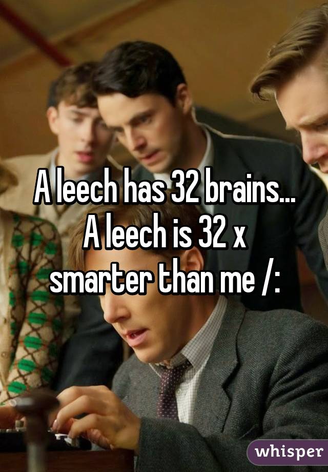 A leech has 32 brains...
A leech is 32 x smarter than me /: