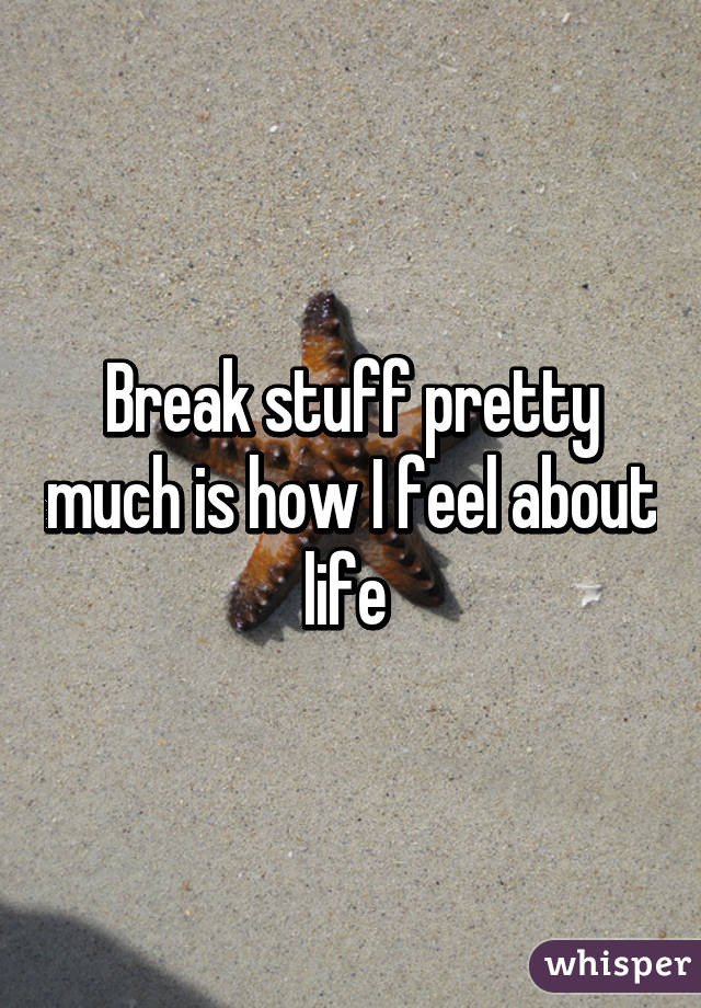 Break stuff pretty much is how I feel about life 