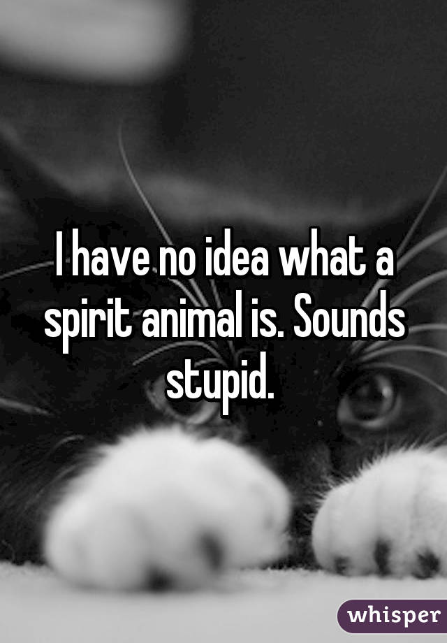 I have no idea what a spirit animal is. Sounds stupid. 