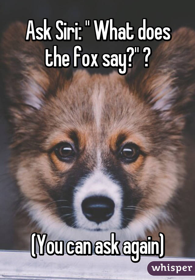 Ask Siri: " What does the fox say?" 😂






(You can ask again)