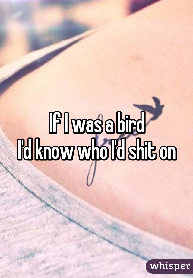 If I was a bird
I'd know who I'd shit on