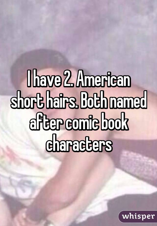 I have 2. American short hairs. Both named after comic book characters