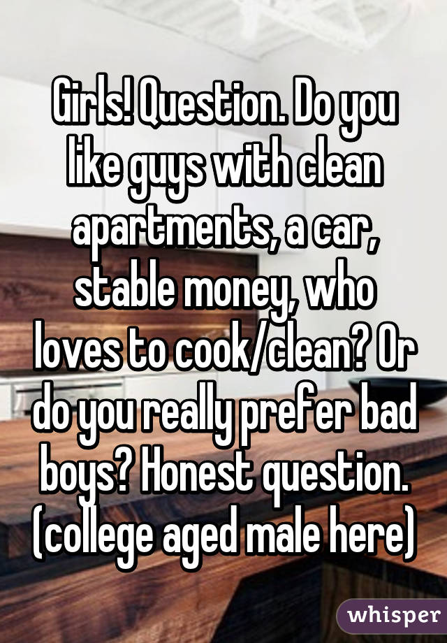 Girls! Question. Do you like guys with clean apartments, a car, stable money, who loves to cook/clean? Or do you really prefer bad boys? Honest question. (college aged male here)