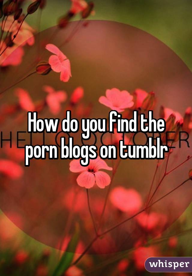 How do you find the porn blogs on tumblr