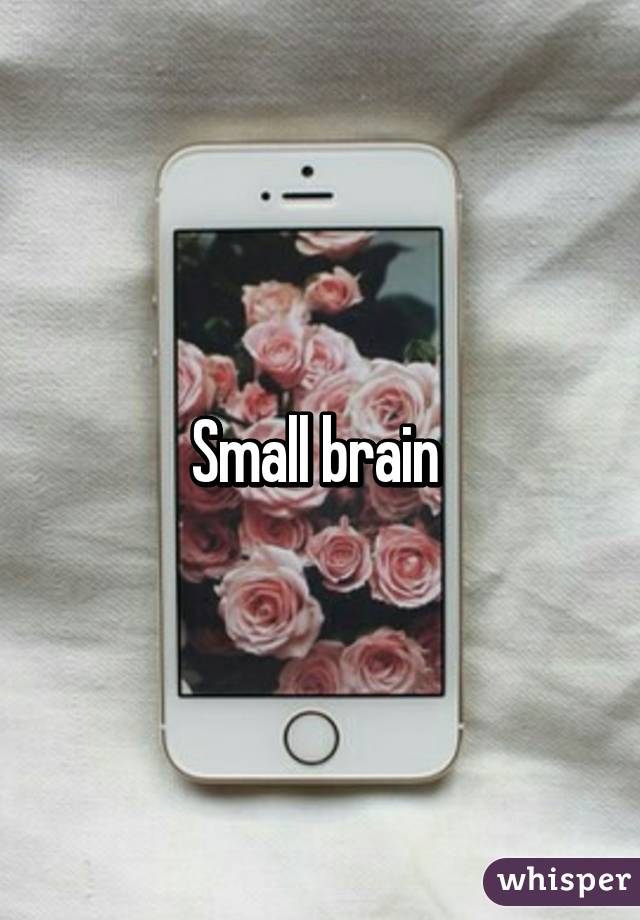 Small brain 