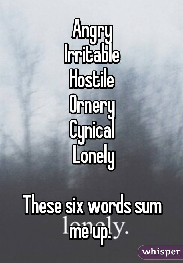 Angry
Irritable
Hostile
Ornery
Cynical
 Lonely

These six words sum me up. 