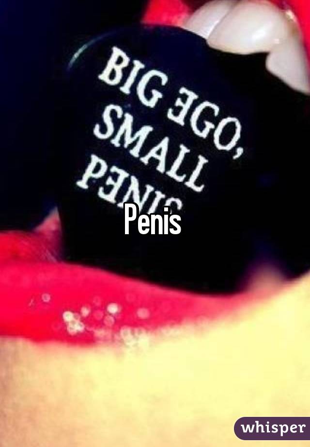 Penis 