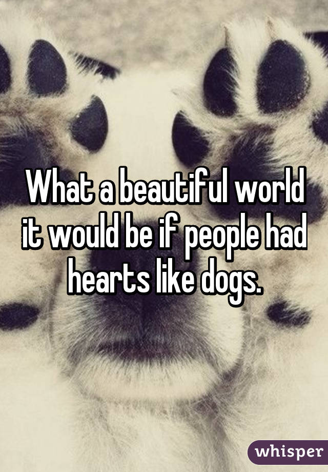 What a beautiful world it would be if people had hearts like dogs.