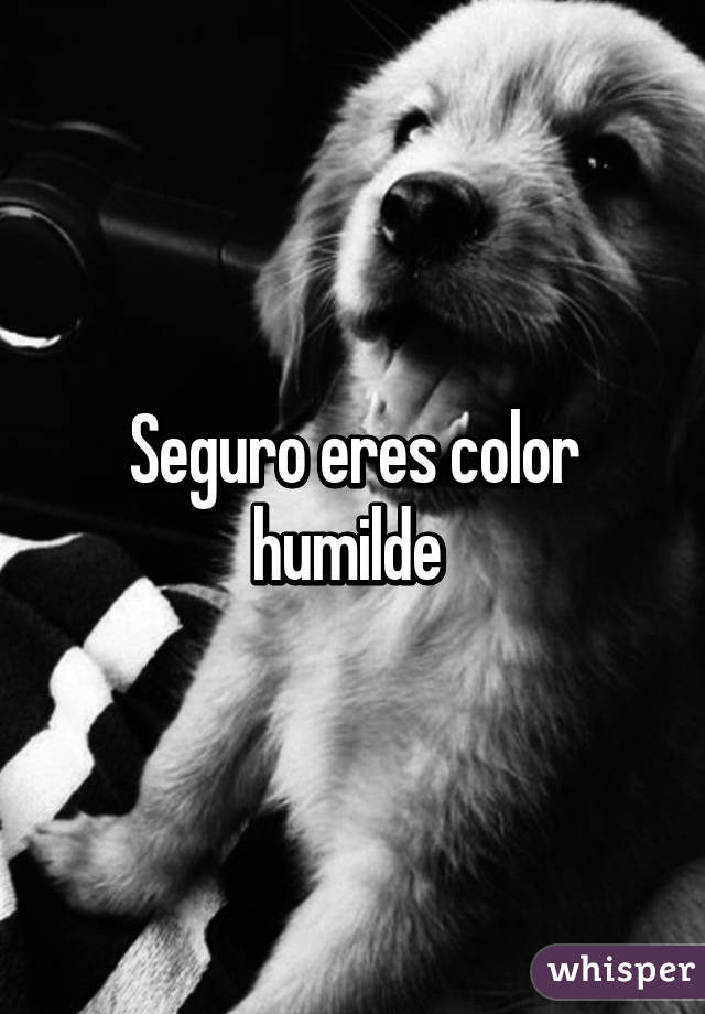 Seguro eres color humilde 