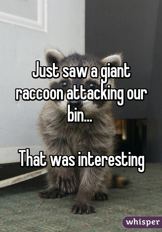 Just saw a giant raccoon attacking our bin... 

That was interesting