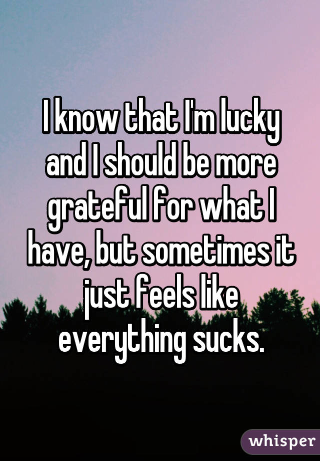 I know that I'm lucky and I should be more grateful for what I have, but sometimes it just feels like everything sucks.