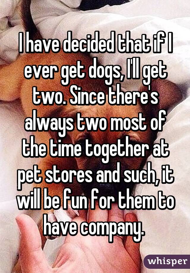 I have decided that if I ever get dogs, I'll get two. Since there's always two most of the time together at pet stores and such, it will be fun for them to have company. 