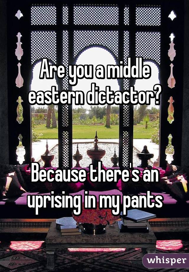 Are you a middle eastern dictactor?


Because there's an uprising in my pants