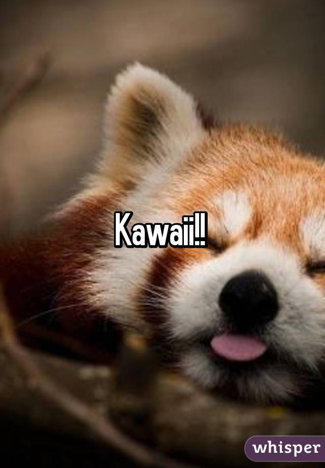 Kawaii!! 