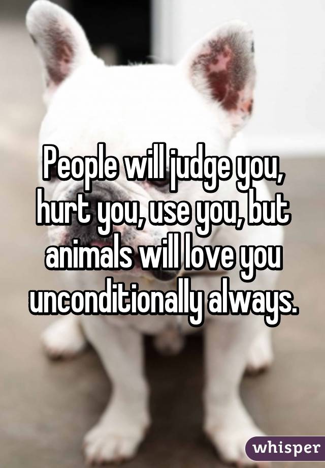 People will judge you, hurt you, use you, but animals will love you unconditionally always.