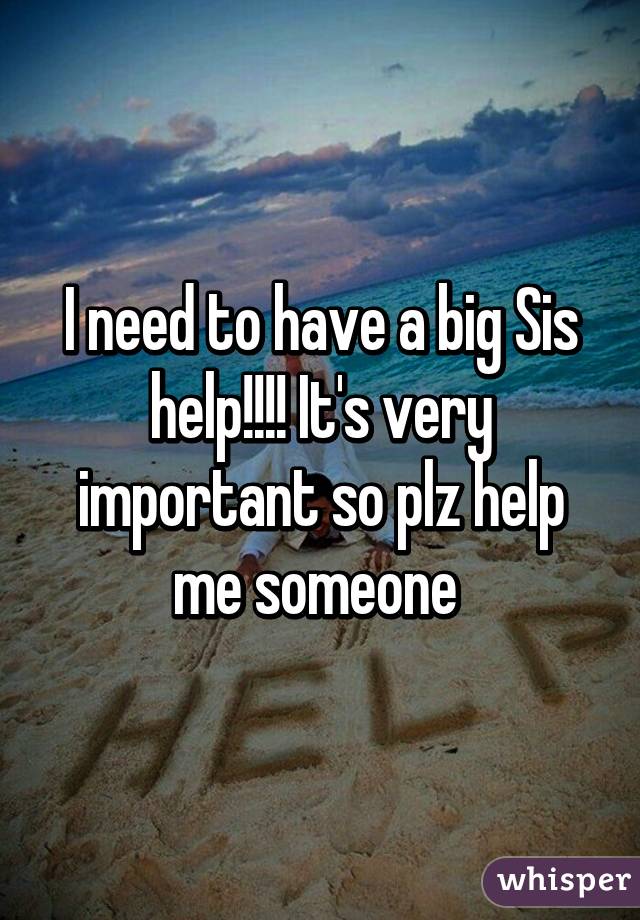 I need to have a big Sis help!!!! It's very important so plz help me someone 