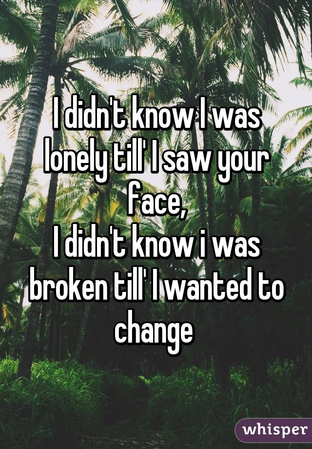 I didn't know I was lonely till' I saw your face,
I didn't know i was broken till' I wanted to change 