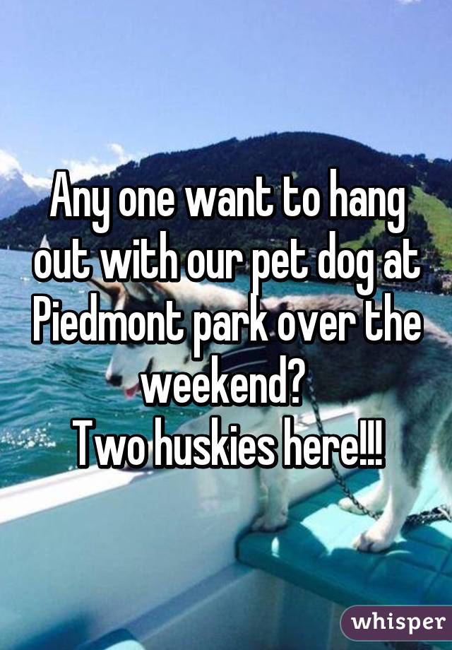 Any one want to hang out with our pet dog at Piedmont park over the weekend? 
Two huskies here!!!