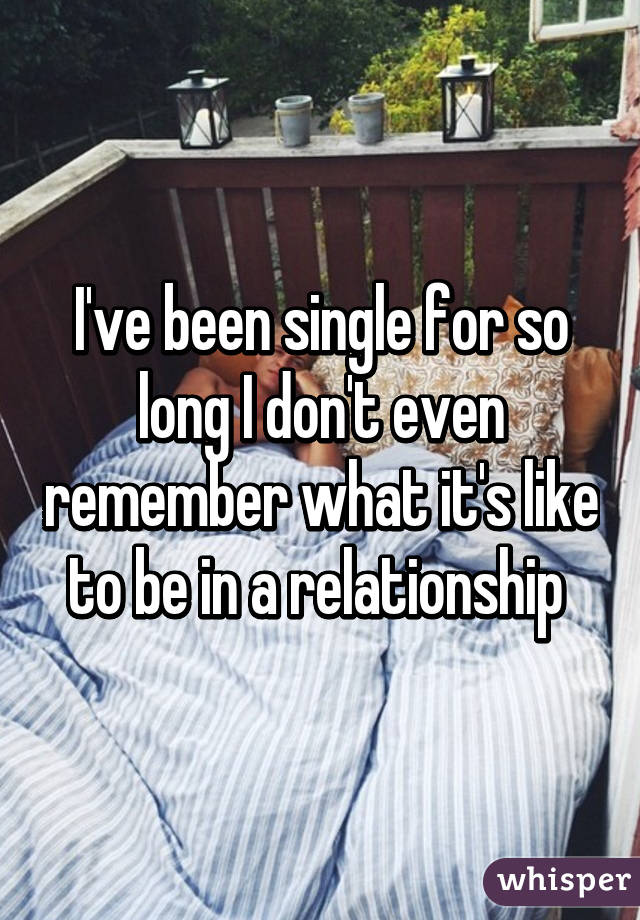 I've been single for so long I don't even remember what it's like to be in a relationship 