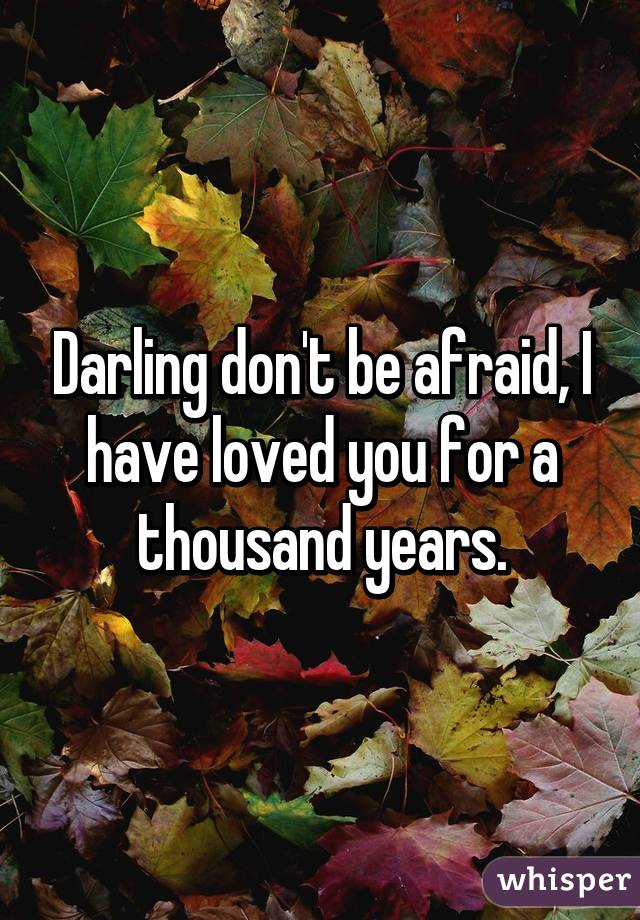 Darling don't be afraid, I have loved you for a thousand years.