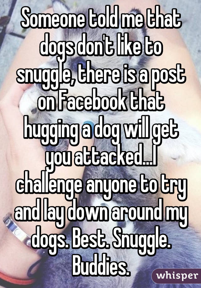 Someone told me that dogs don't like to snuggle, there is a post on Facebook that hugging a dog will get you attacked...I challenge anyone to try and lay down around my dogs. Best. Snuggle. Buddies.