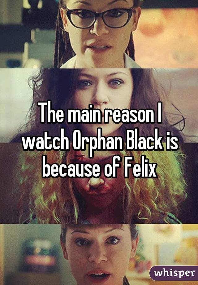 The main reason I watch Orphan Black is because of Felix