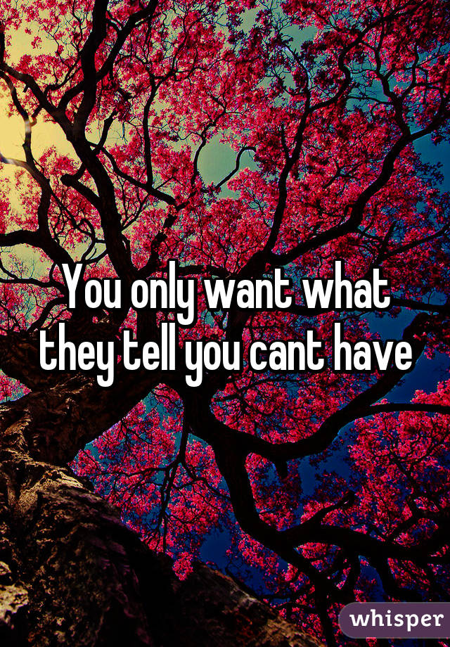 You only want what they tell you cant have