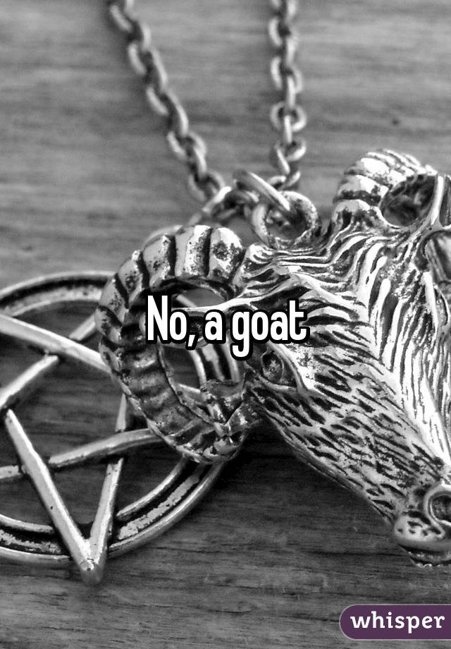 No, a goat