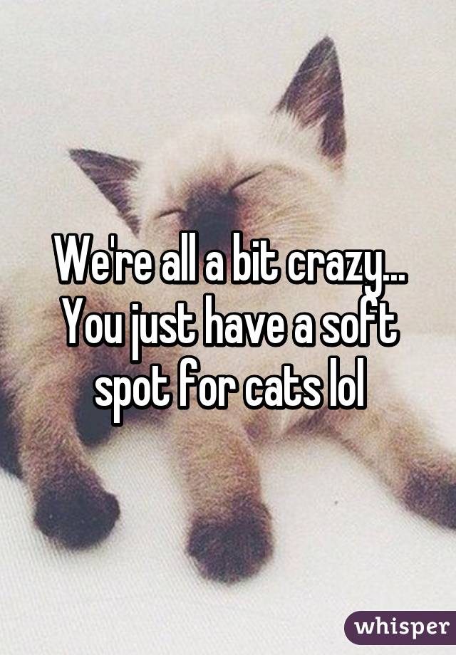 We're all a bit crazy... You just have a soft spot for cats lol