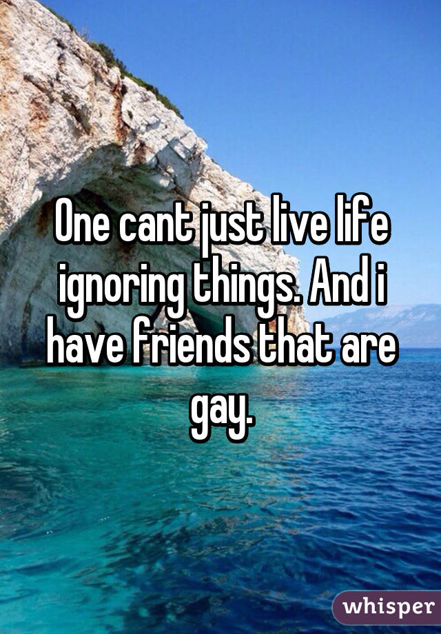 One cant just live life ignoring things. And i have friends that are gay.