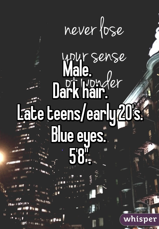 Male.  
Dark hair.
Late teens/early 20's.
Blue eyes. 
5'8".