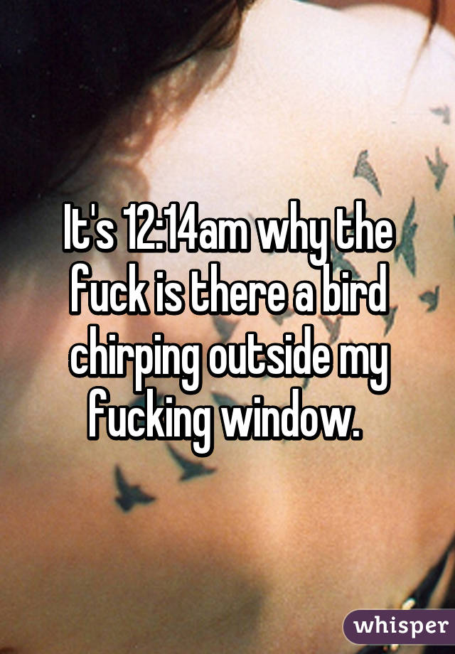 It's 12:14am why the fuck is there a bird chirping outside my fucking window. 