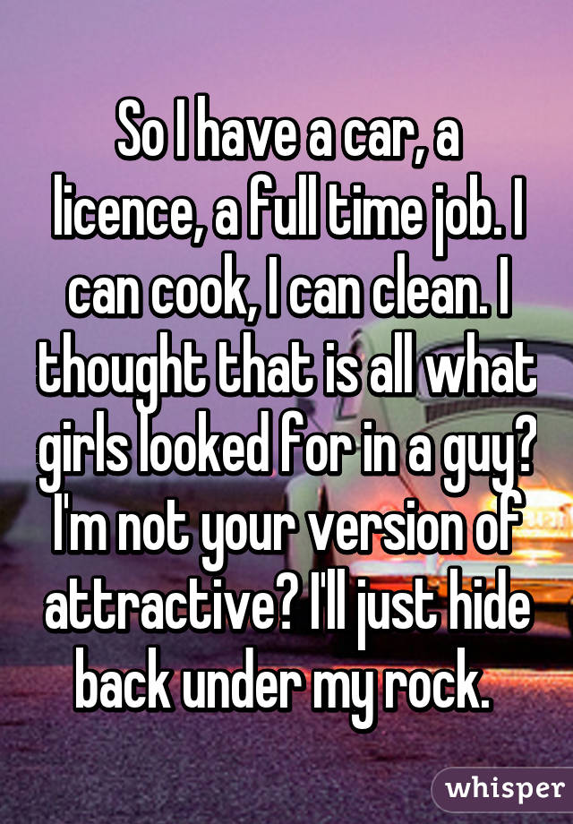 So I have a car, a licence, a full time job. I can cook, I can clean. I thought that is all what girls looked for in a guy? I'm not your version of attractive? I'll just hide back under my rock. 