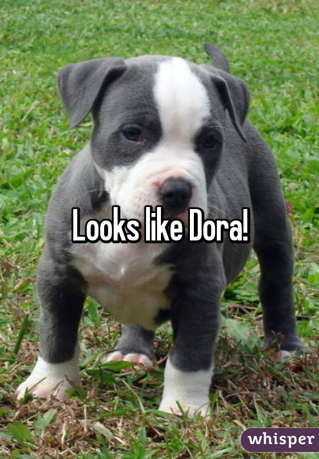 Looks like Dora!