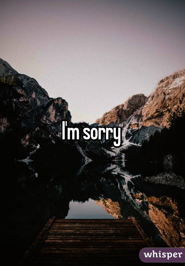 I'm sorry 