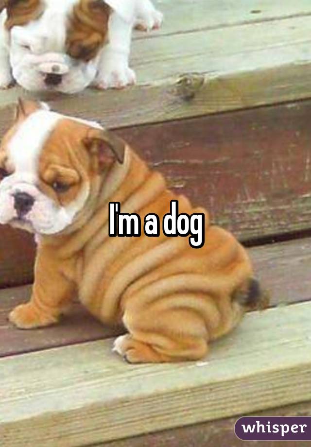 I'm a dog