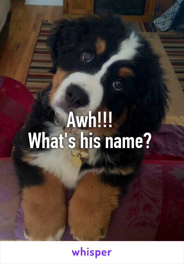 Awh!!! 
What's his name? 