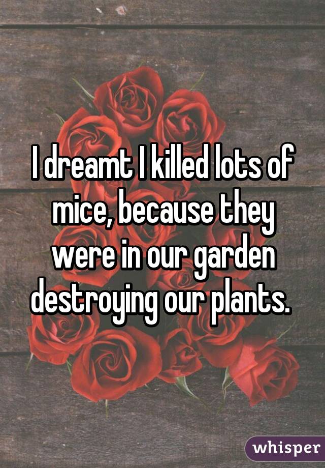 I dreamt I killed lots of mice, because they were in our garden destroying our plants. 