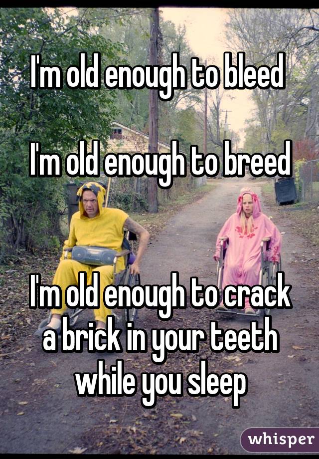 I M Old Enough To Bleed I M Old Enough To Breed I M Old Enough To Crack A Brick In Your Teeth