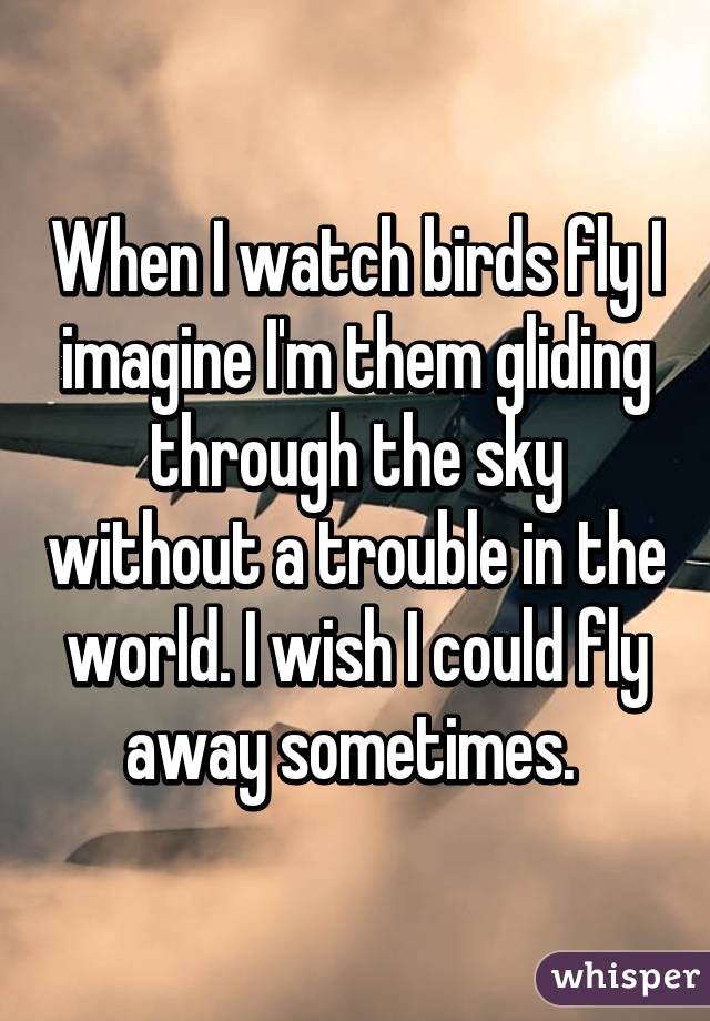 When I watch birds fly I imagine I'm them gliding through the sky without a trouble in the world. I wish I could fly away sometimes. 